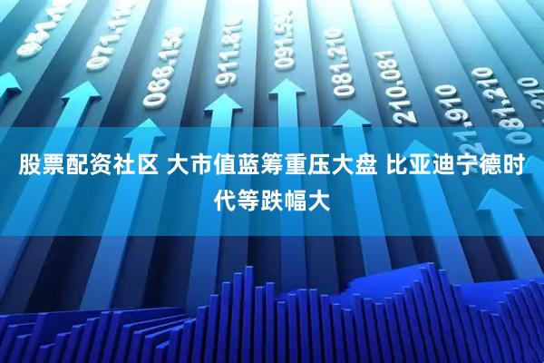 股票配资社区 大市值蓝筹重压大盘 比亚迪宁德时代等跌幅大