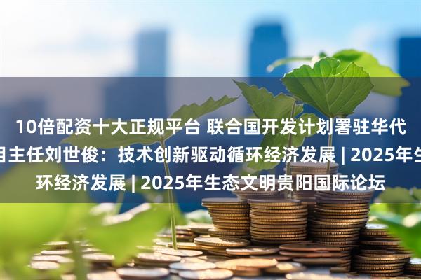 10倍配资十大正规平台 联合国开发计划署驻华代表处能源与环境处项目主任刘世俊：技术创新驱动循环经济发展 | 2025年生态文明贵阳国际论坛